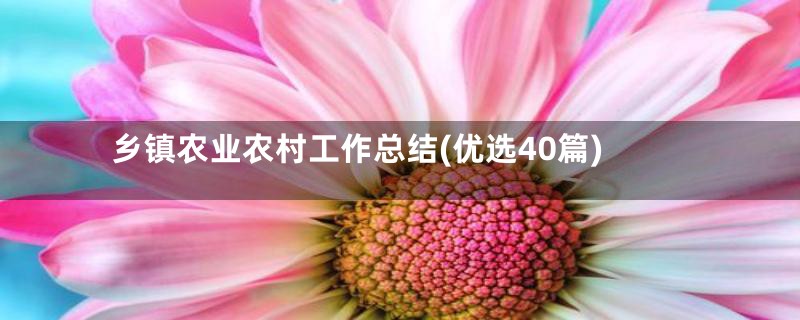 乡镇农业农村工作总结(优选40篇)
