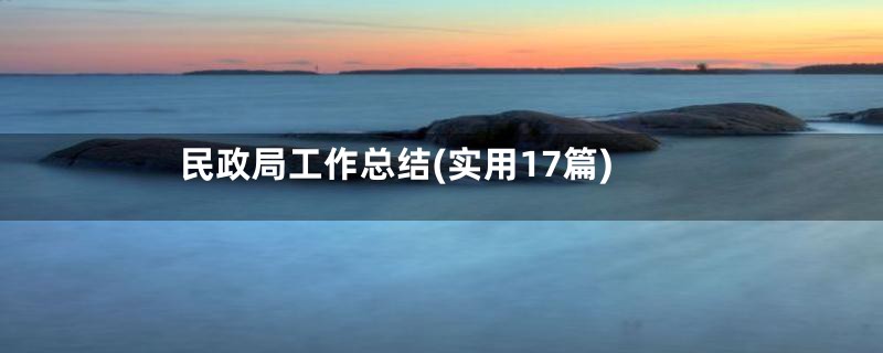 民政局工作总结(实用17篇)