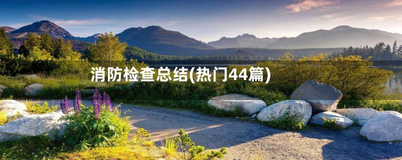消防检查总结(热门44篇)