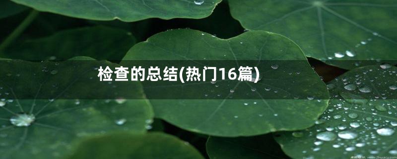 检查的总结(热门16篇)