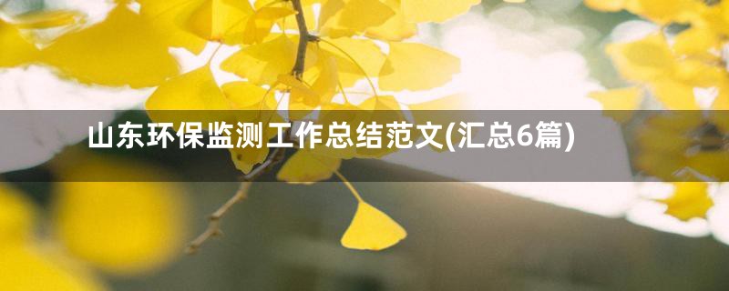山东环保监测工作总结范文(汇总6篇)