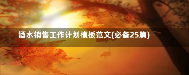 酒水销售工作计划模板范文(必备25篇)