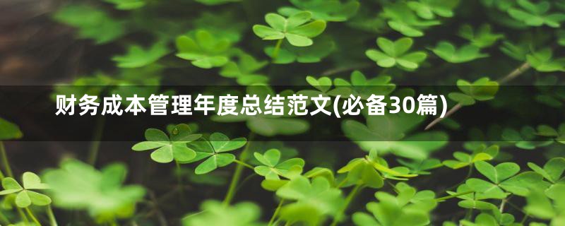 财务成本管理年度总结范文(必备30篇)