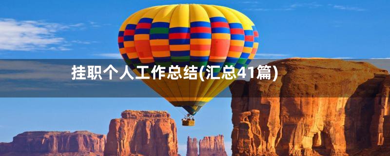 挂职个人工作总结(汇总41篇)