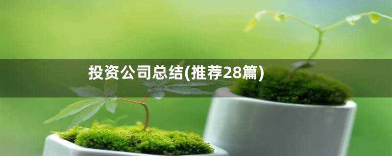 投资公司总结(推荐28篇)