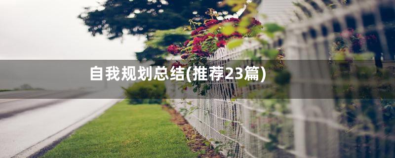 自我规划总结(推荐23篇)