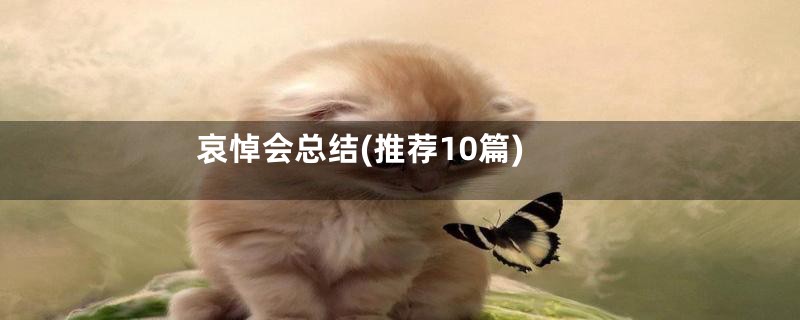 哀悼会总结(推荐10篇)