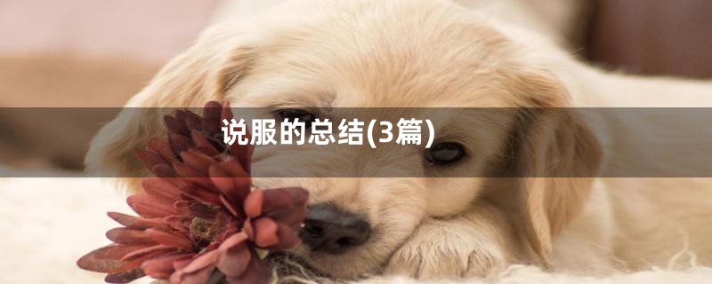 说服的总结(3篇)