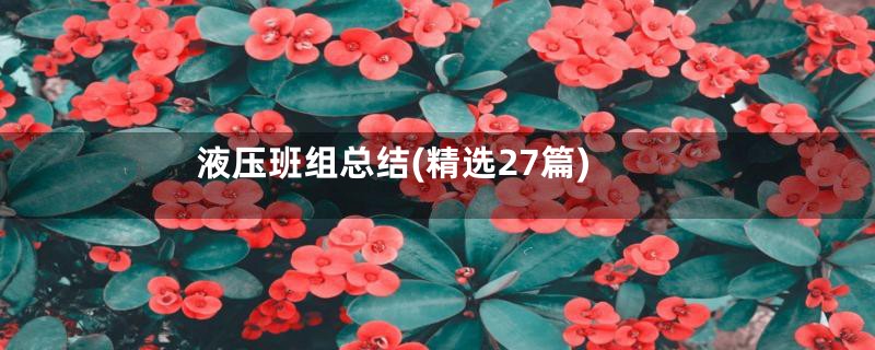 液压班组总结(精选27篇)