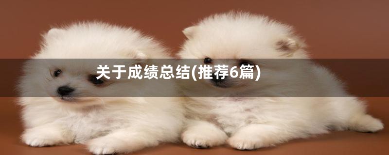 关于成绩总结(推荐6篇)