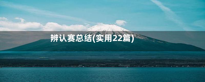 辨认赛总结(实用22篇)