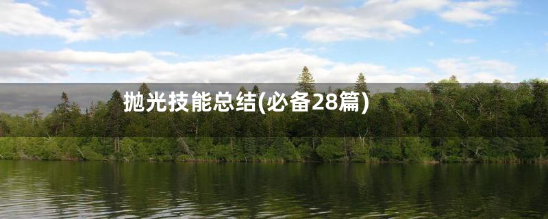 抛光技能总结(必备28篇)