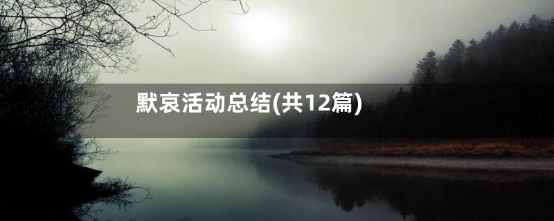 默哀活动总结(共12篇)