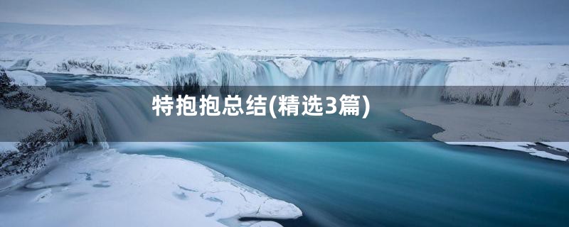 特抱抱总结(精选3篇)