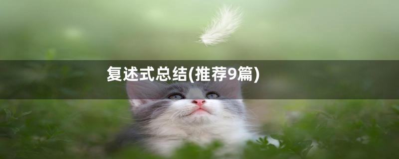 复述式总结(推荐9篇)