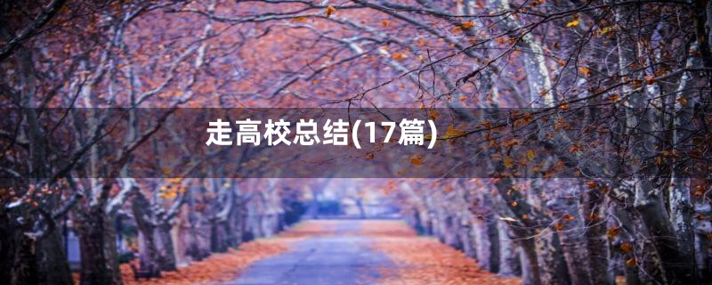 走高校总结(17篇)