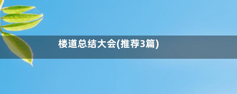 楼道总结大会(推荐3篇)