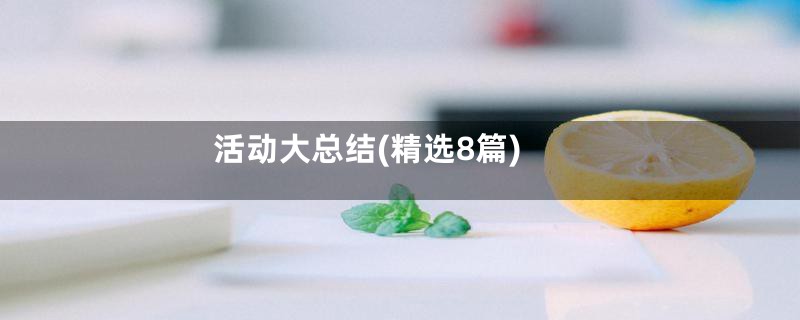 活动大总结(精选8篇)