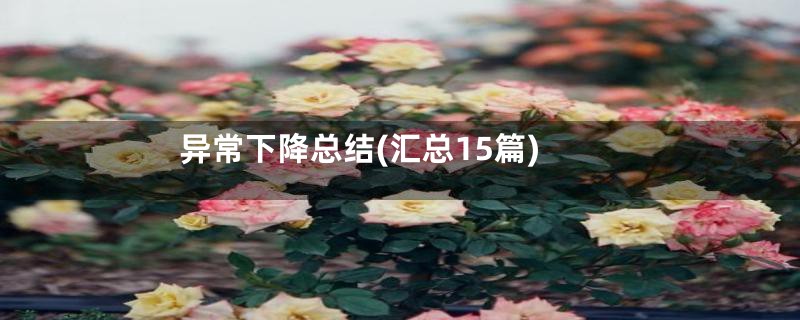 异常下降总结(汇总15篇)
