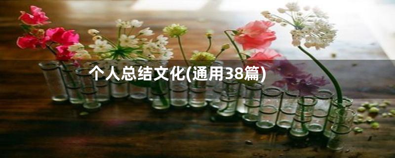 个人总结文化(通用38篇)