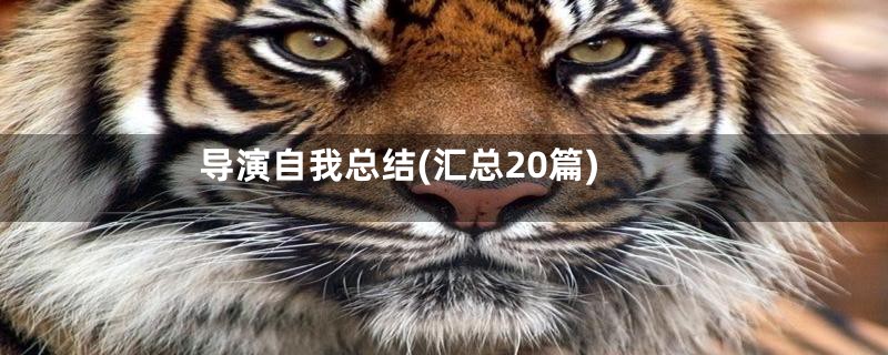 导演自我总结(汇总20篇)