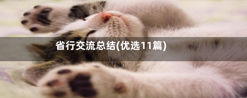 省行交流总结(优选11篇)