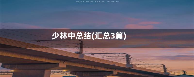 少林中总结(汇总3篇)