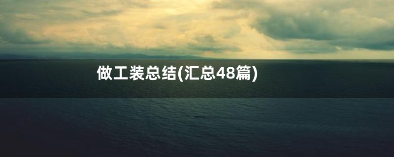 做工装总结(汇总48篇)