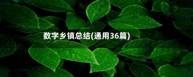数字乡镇总结(通用36篇)