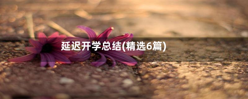 延迟开学总结(精选6篇)