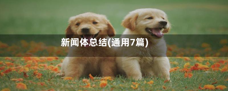 新闻体总结(通用7篇)