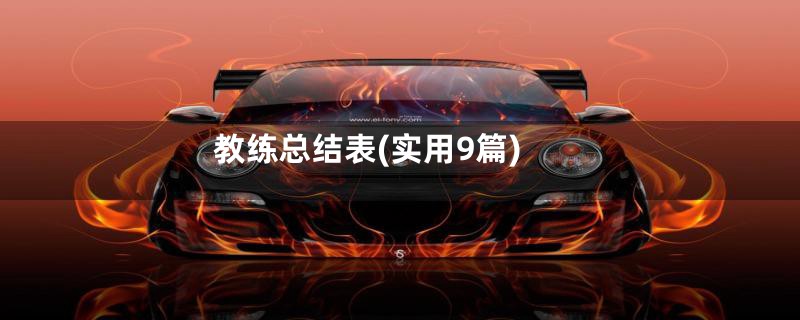 教练总结表(实用9篇)