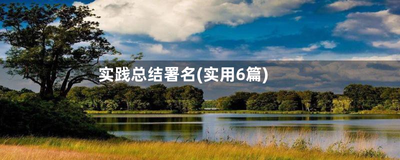 实践总结署名(实用6篇)