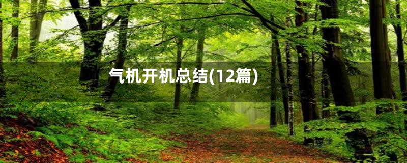 气机开机总结(12篇)