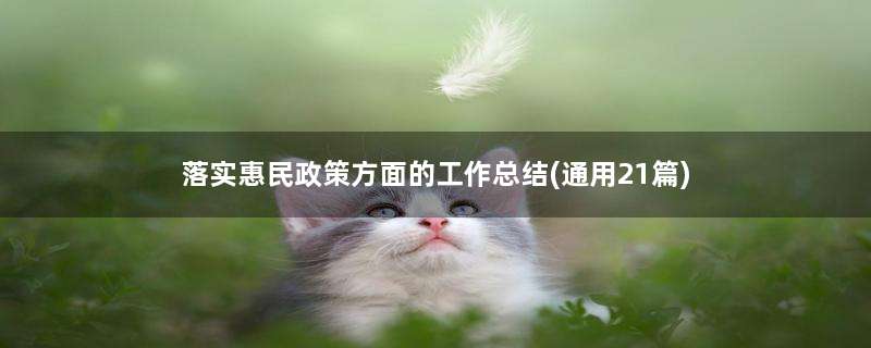 落实惠民政策方面的工作总结(通用21篇)