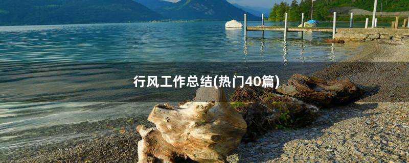 行风工作总结(热门40篇)