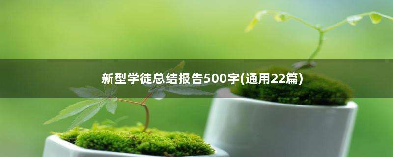 新型学徒总结报告500字(通用22篇)